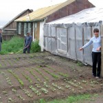 Greenhouse Repairs Greenhouse Repairs