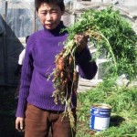 Learning to grow vegetables Learning to grow vegetables